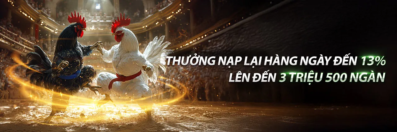 Đá gà trực tuyến trên hi8 app ios, gà chọi đang thi đấu sôi động